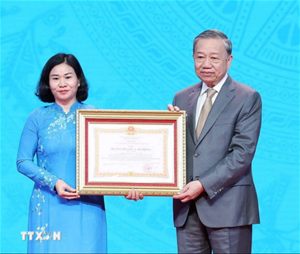Tổng Bí thư: Mỗi tỉnh có ít nhất 5 'Nhà an toàn cho phụ nữ và trẻ em'