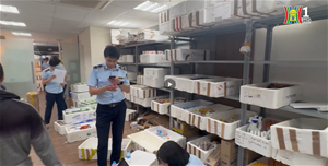 Thêm hàng nghìn sản phẩm dành cho trẻ em bị nhập lậu