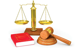 Quy chế tổ chức và hoạt động của Ủy ban Quốc gia về trẻ em